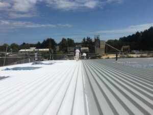 Roof Coating Dorset